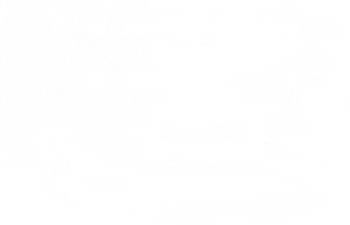 Butter Chicken Burger